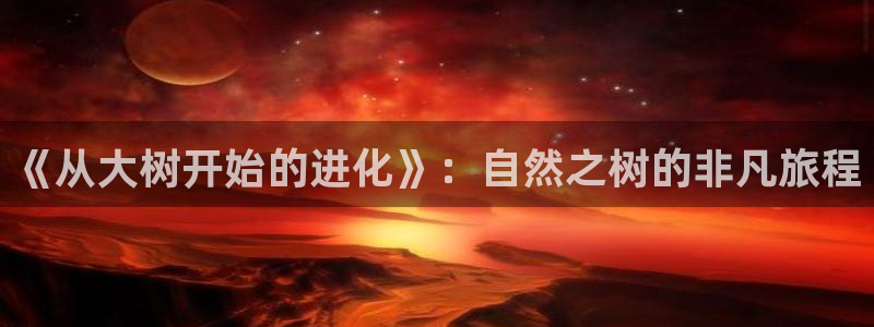 航海王免费播放虫虫漫画国语